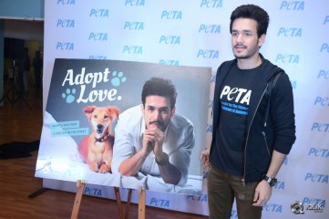Akhil Akkineni at Peta Event